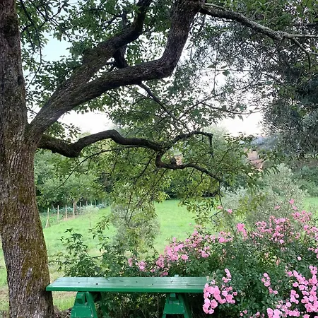 Ferienhaus Quinta Amoras - Au Coeur Des Oliviers