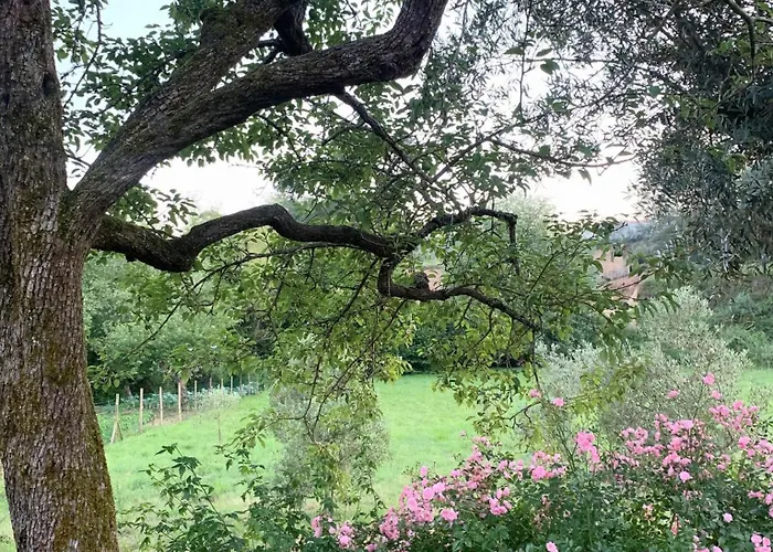 Dom wakacyjny Quinta Amoras - Au Coeur Des Oliviers